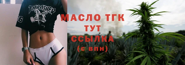 хмурый Аркадак