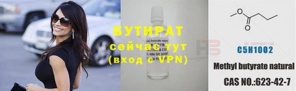 хмурый Аркадак