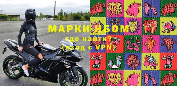 хмурый Аркадак