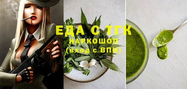 хмурый Аркадак