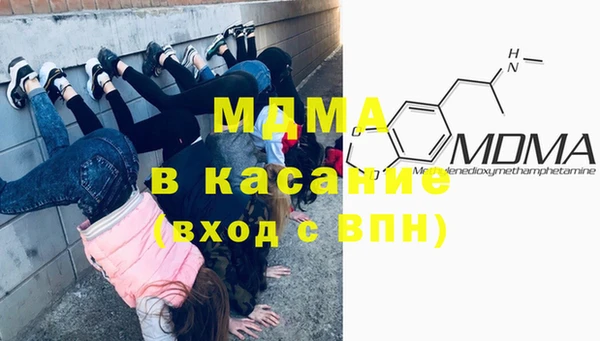 хмурый Аркадак