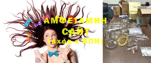 хмурый Аркадак