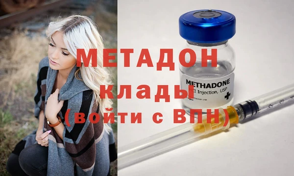 хмурый Аркадак