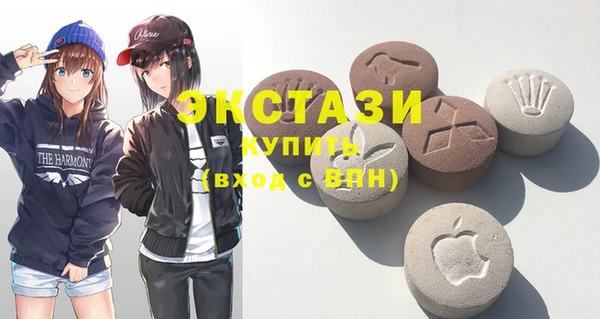 хмурый Аркадак