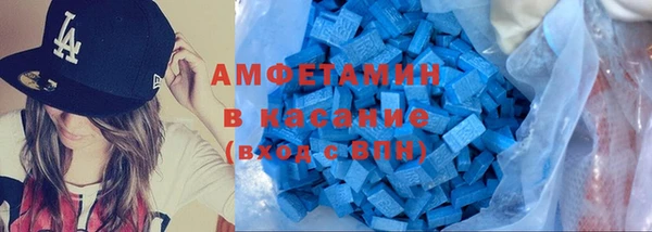 хмурый Аркадак
