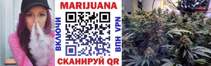 Шишки марихуана Bruce Banner  OMG вход  Удомля  где найти  
